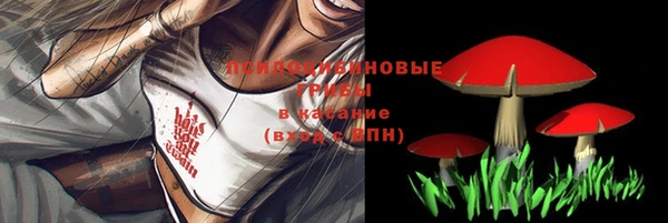 герыч Новозыбков