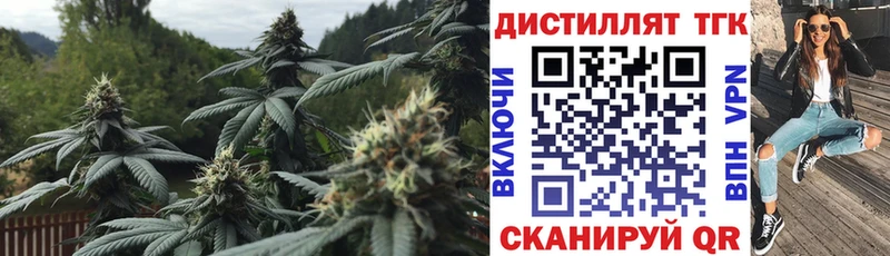 наркошоп  Бабушкин  ТГК вейп 