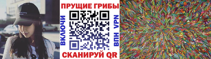 Псилоцибиновые грибы MAGIC MUSHROOMS где продают наркотики Бабушкин