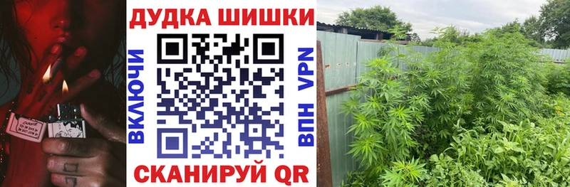 дарнет шоп  Бабушкин  mega ССЫЛКА  Бошки Шишки конопля 
